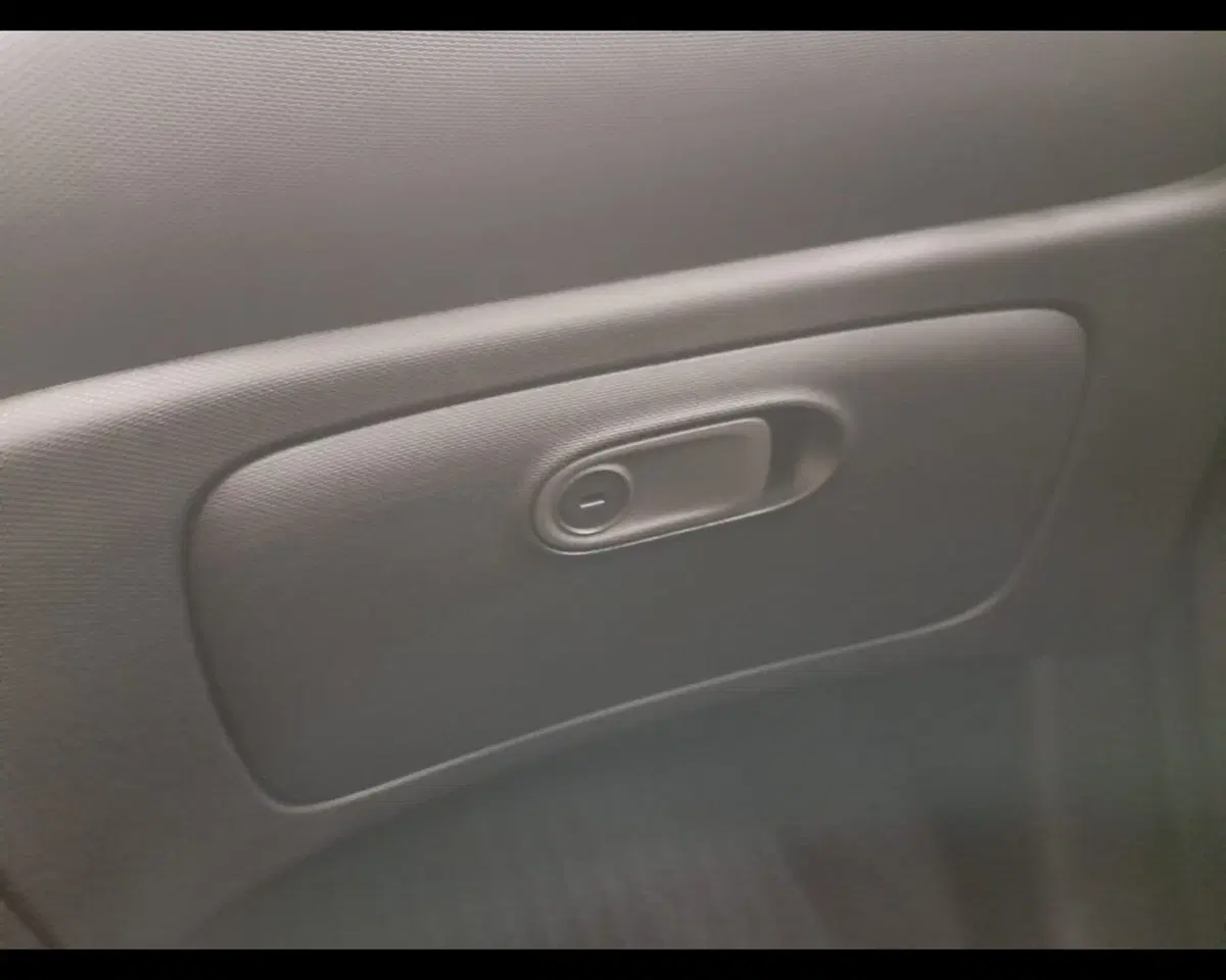 smart forfour usata a Alessandria (20)