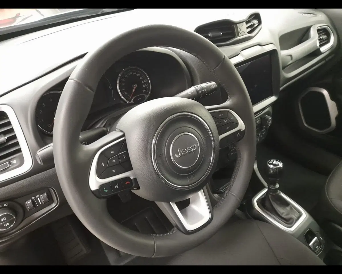 Jeep Renegade usata a Alessandria (8)
