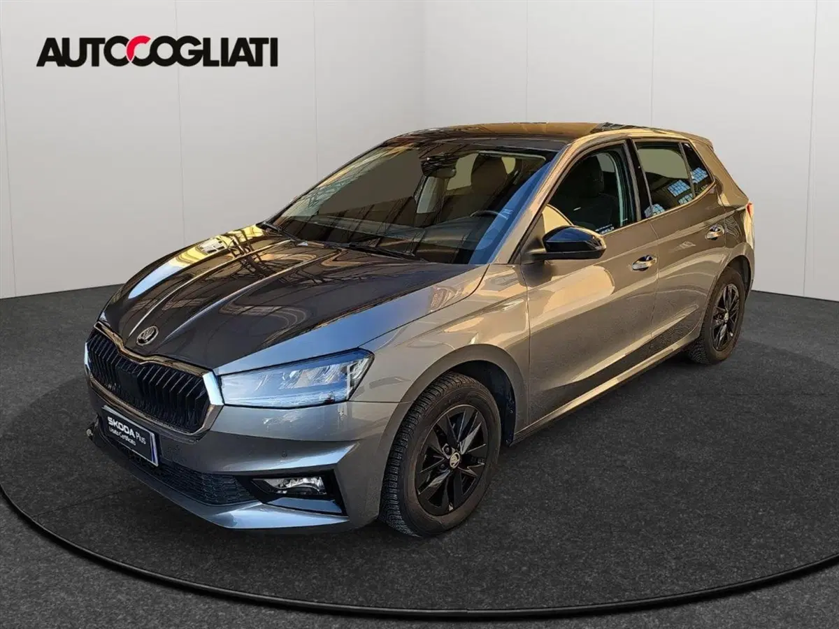 Skoda Fabia usata a Lecco