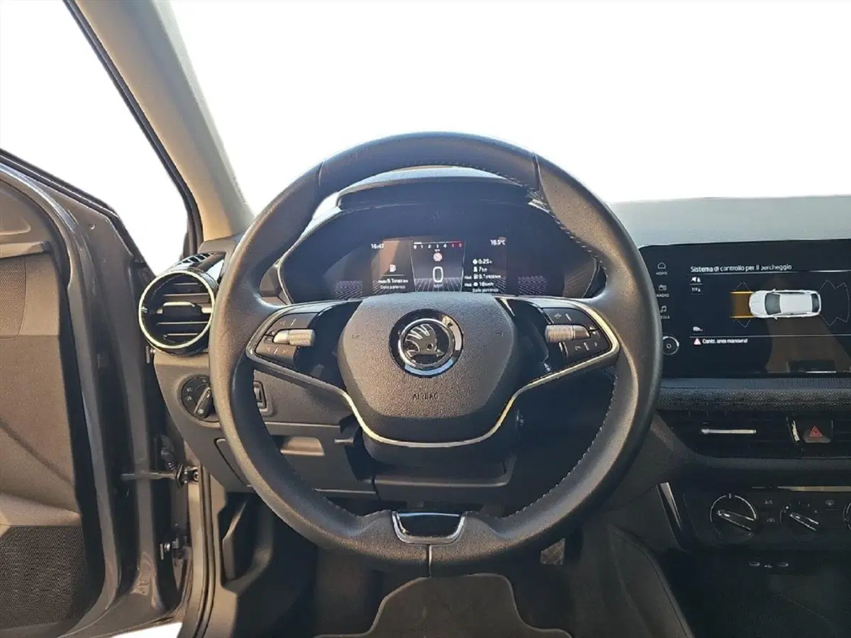 Skoda Fabia usata a Lecco (10)