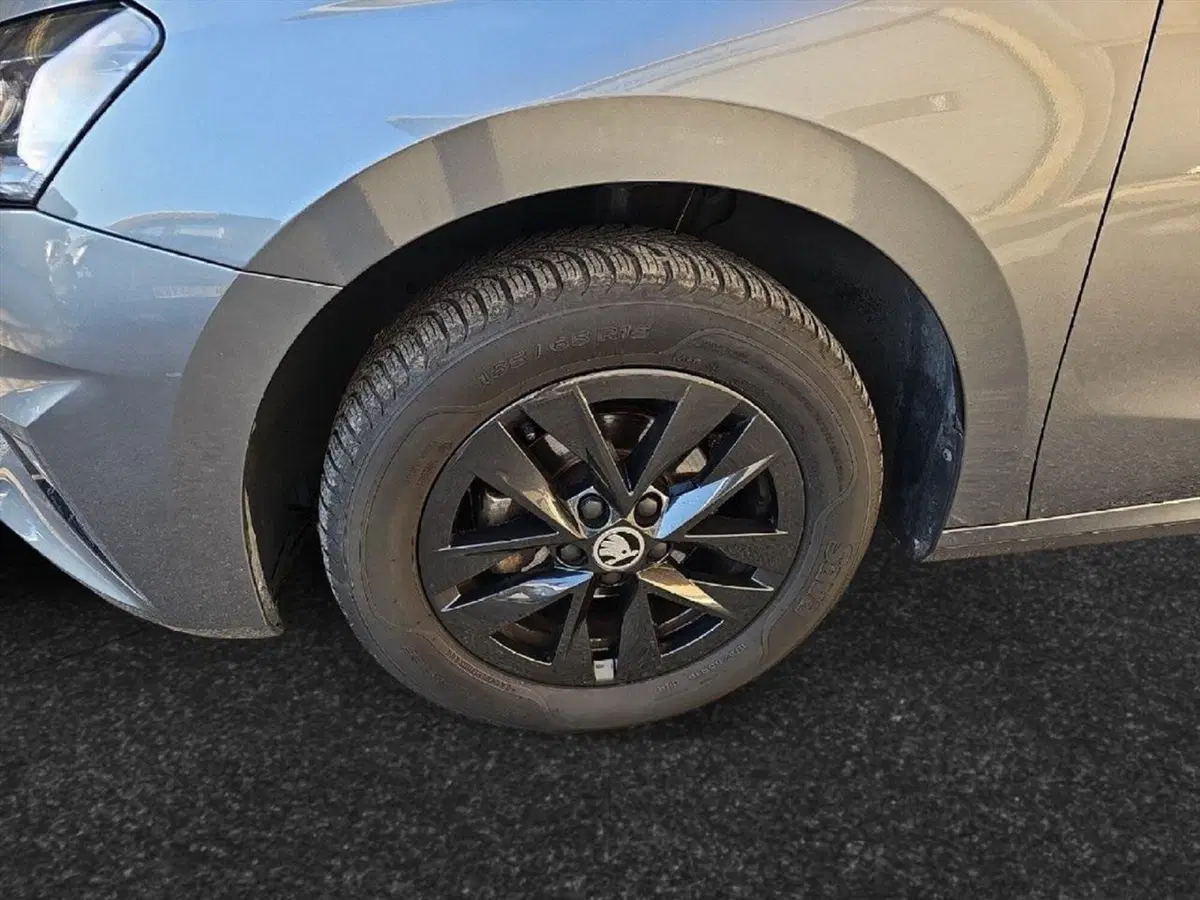 Skoda Fabia usata a Lecco (11)