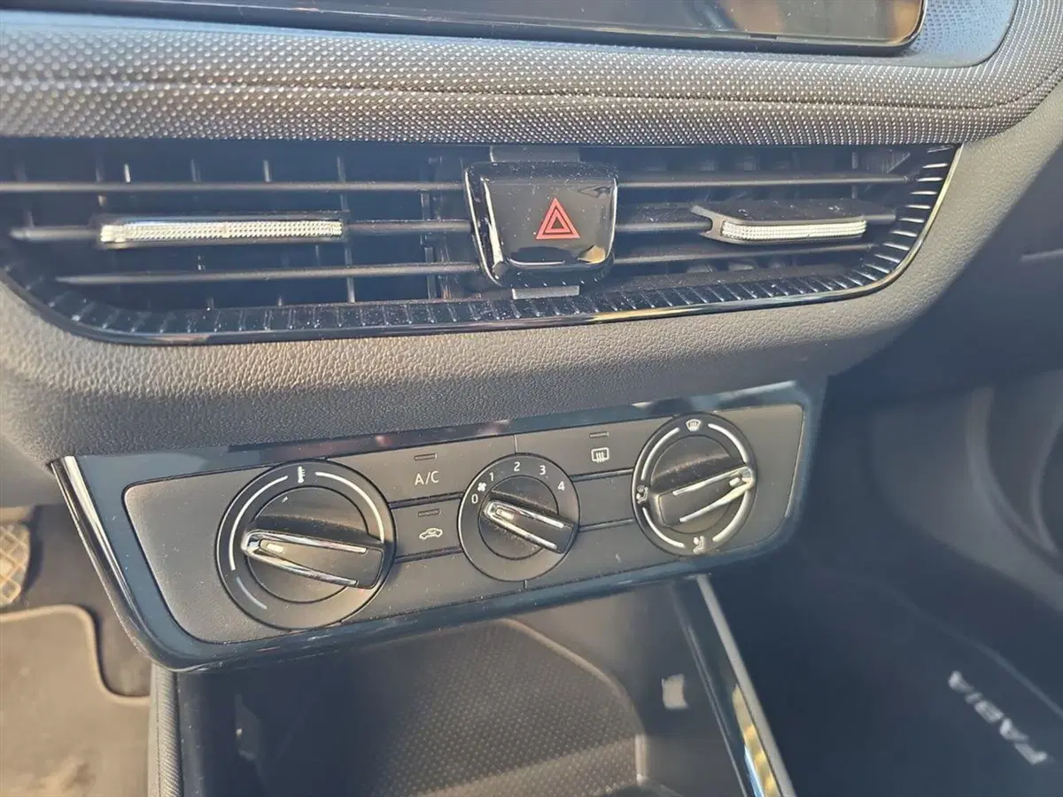 Skoda Fabia usata a Lecco (15)