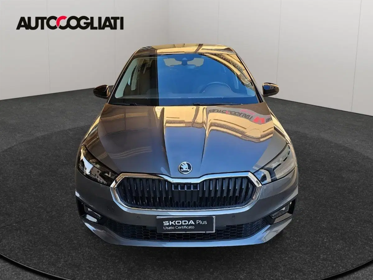 Skoda Fabia usata a Lecco (2)