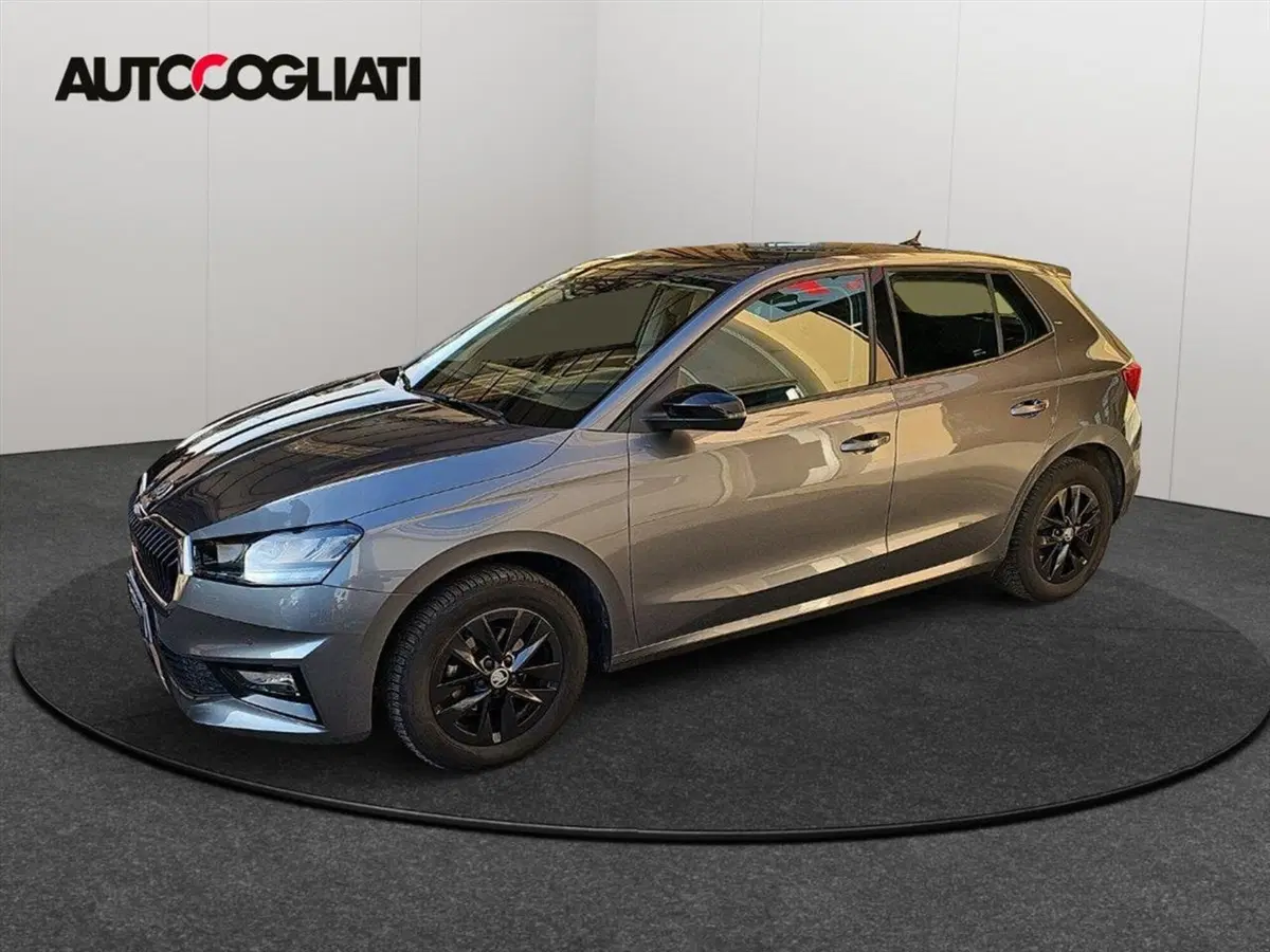 Skoda Fabia usata a Lecco (3)