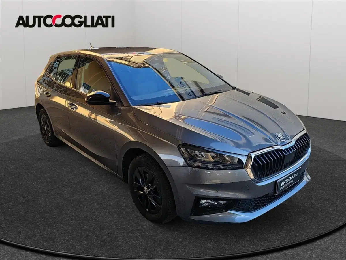 Skoda Fabia usata a Lecco (4)