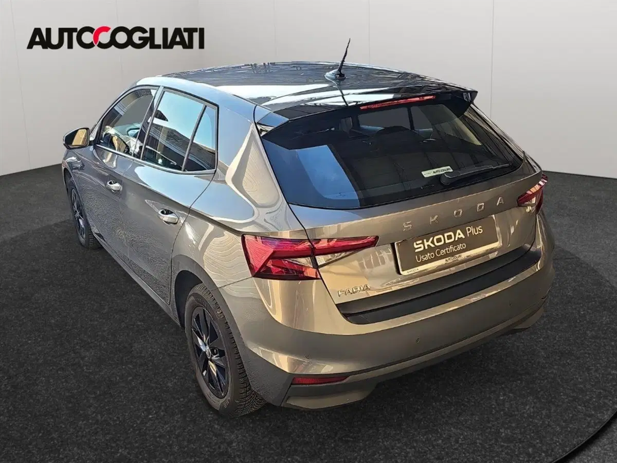 Skoda Fabia usata a Lecco (5)