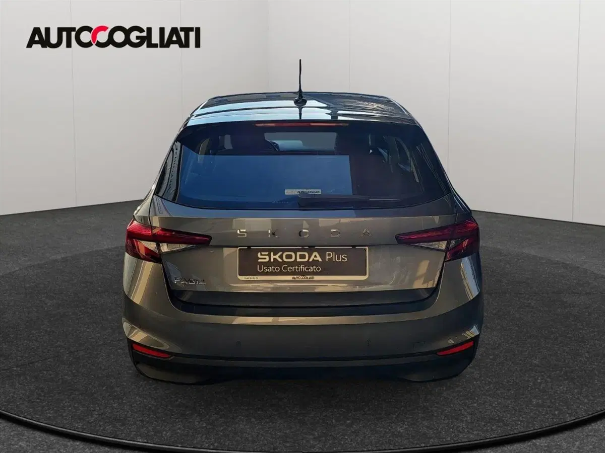 Skoda Fabia usata a Lecco (6)