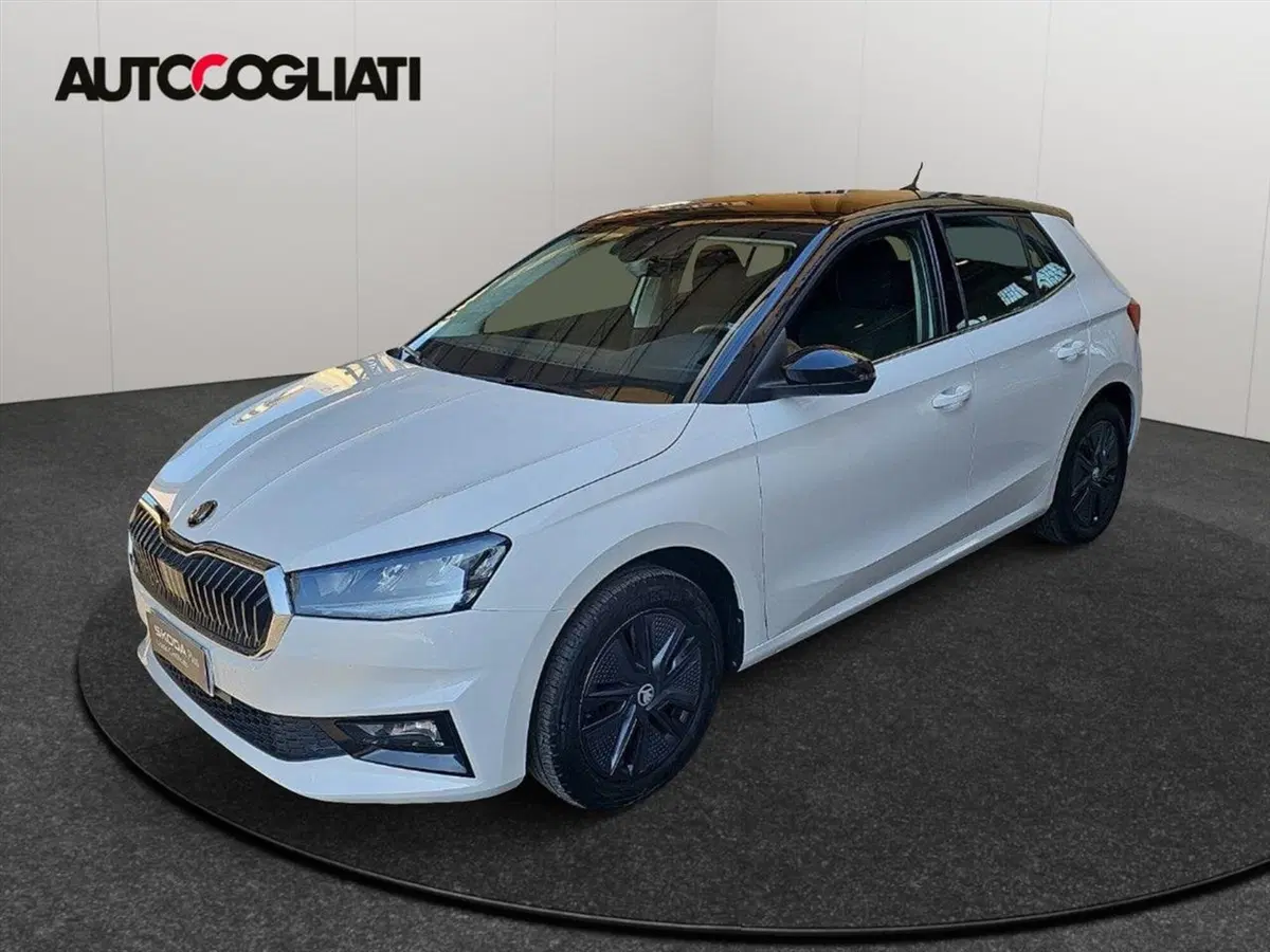 Skoda Fabia usata a Lecco