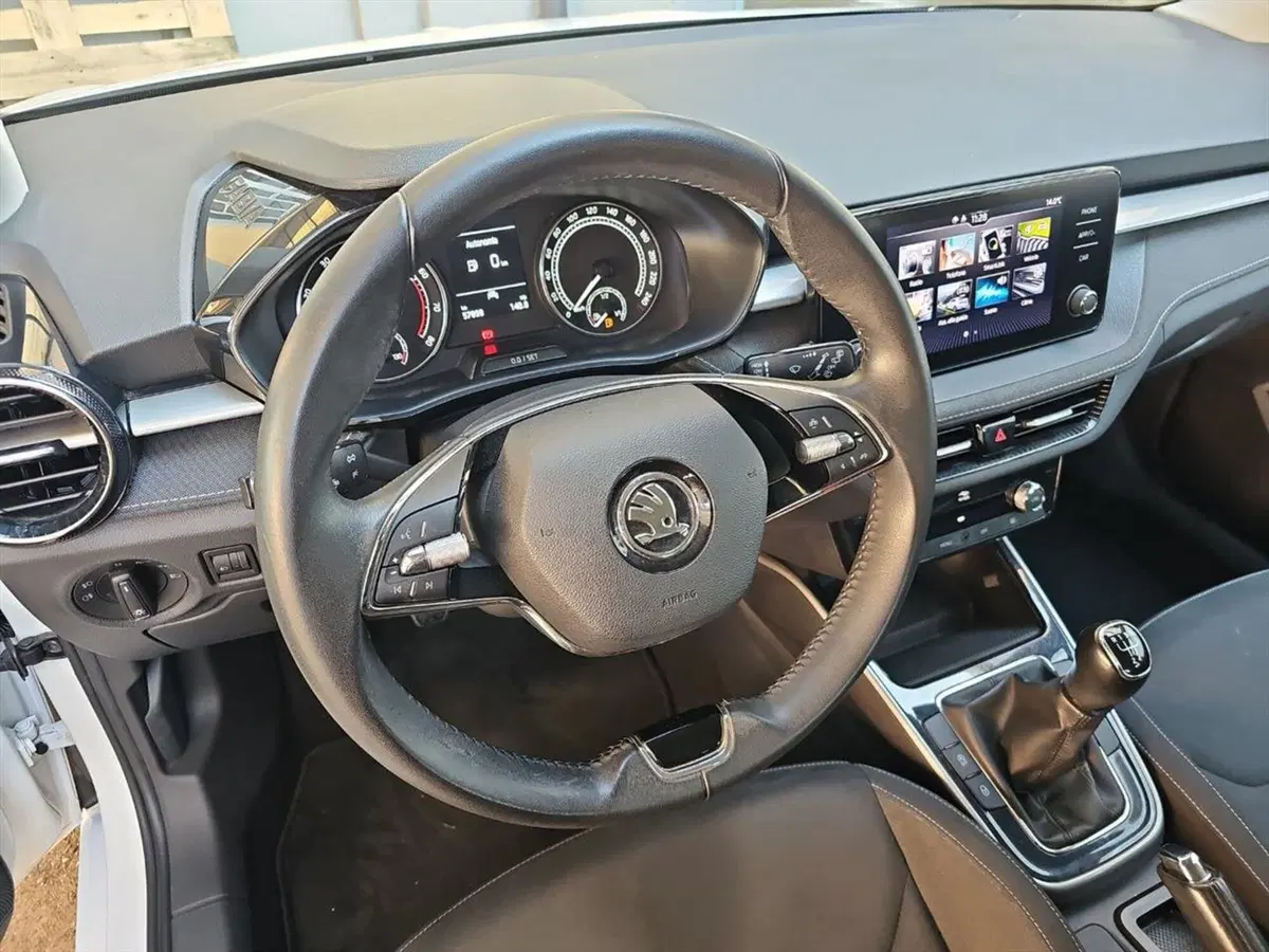 Skoda Fabia usata a Lecco (10)