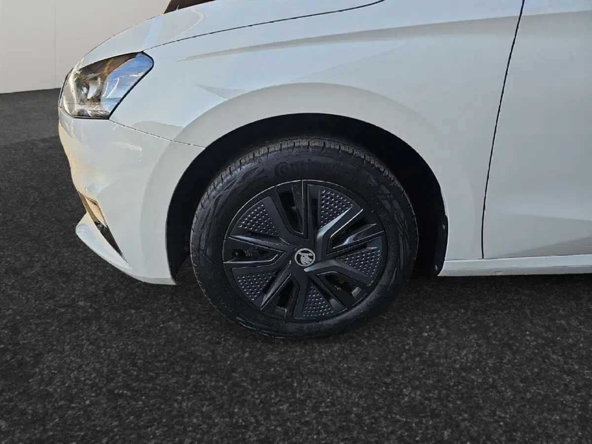 Skoda Fabia usata a Lecco (13)