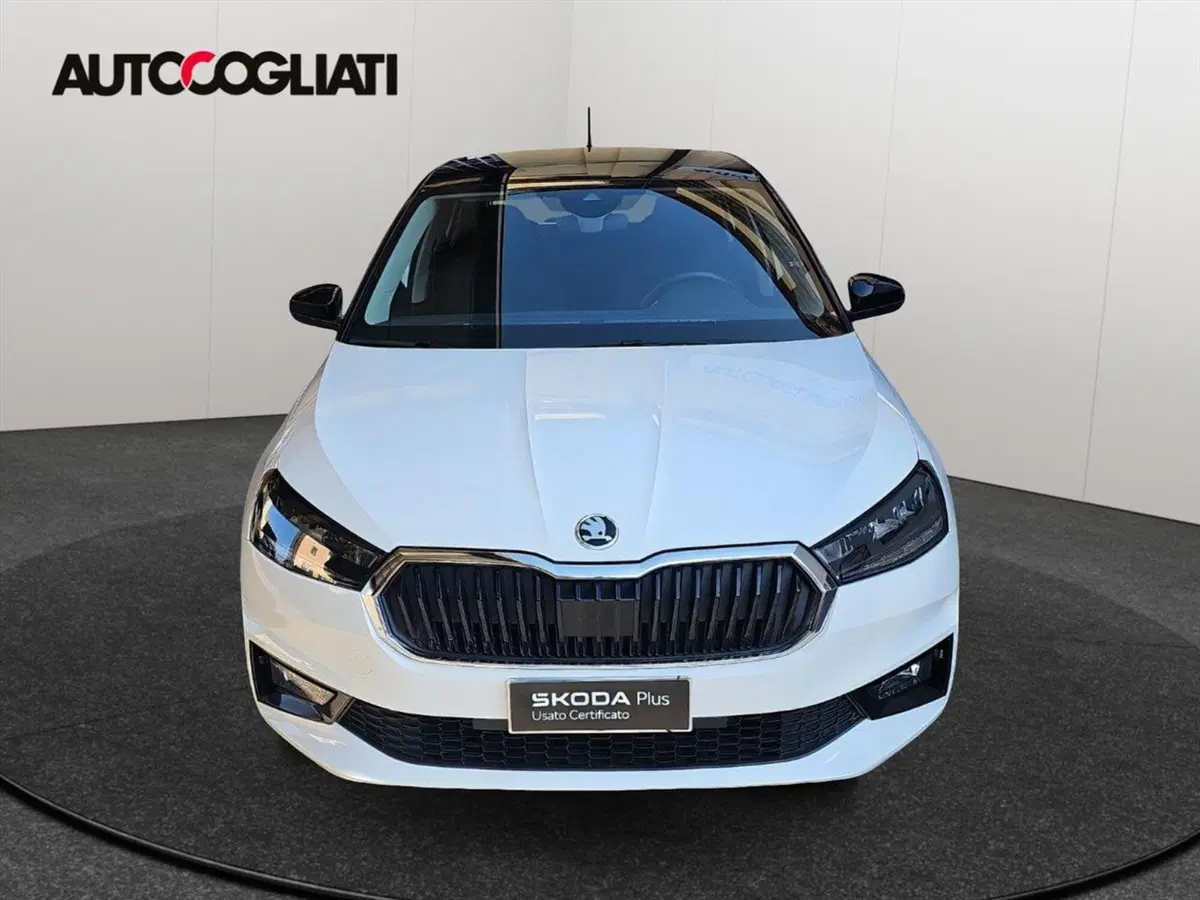 Skoda Fabia usata a Lecco (2)