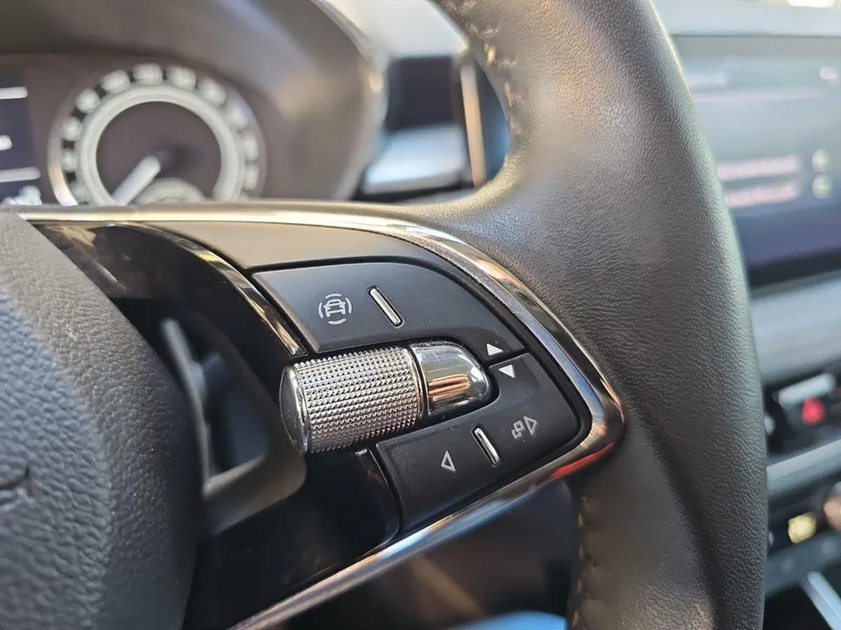 Skoda Fabia usata a Lecco (20)
