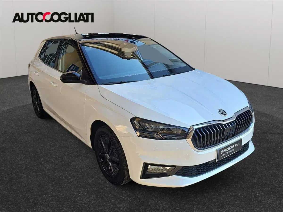Skoda Fabia usata a Lecco (3)