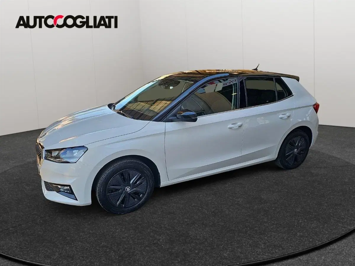 Skoda Fabia usata a Lecco (4)