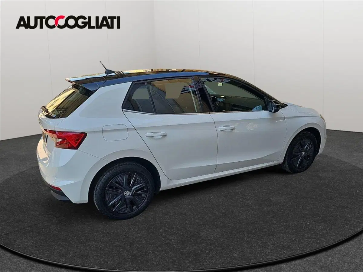 Skoda Fabia usata a Lecco (5)