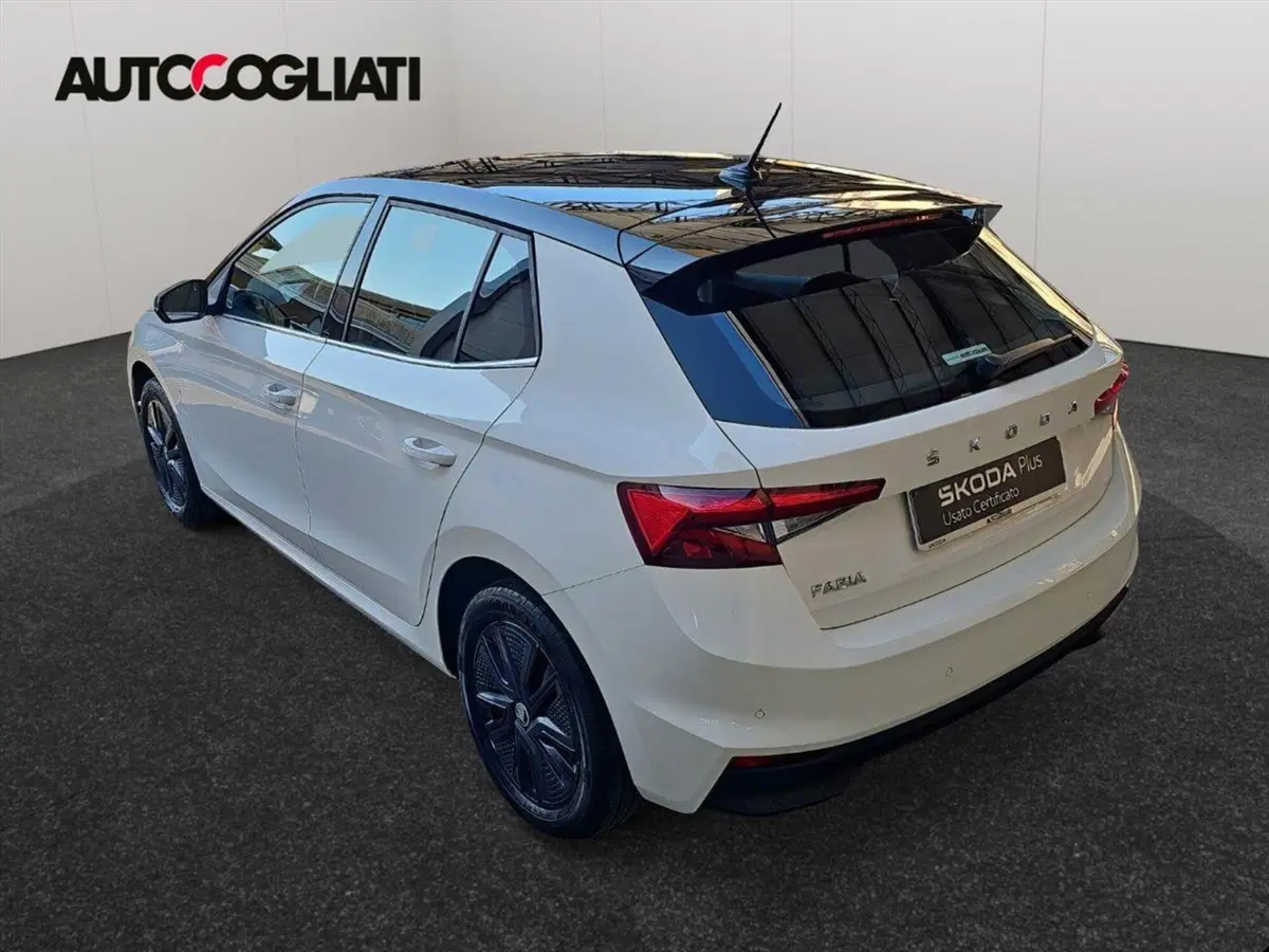 Skoda Fabia usata a Lecco (6)
