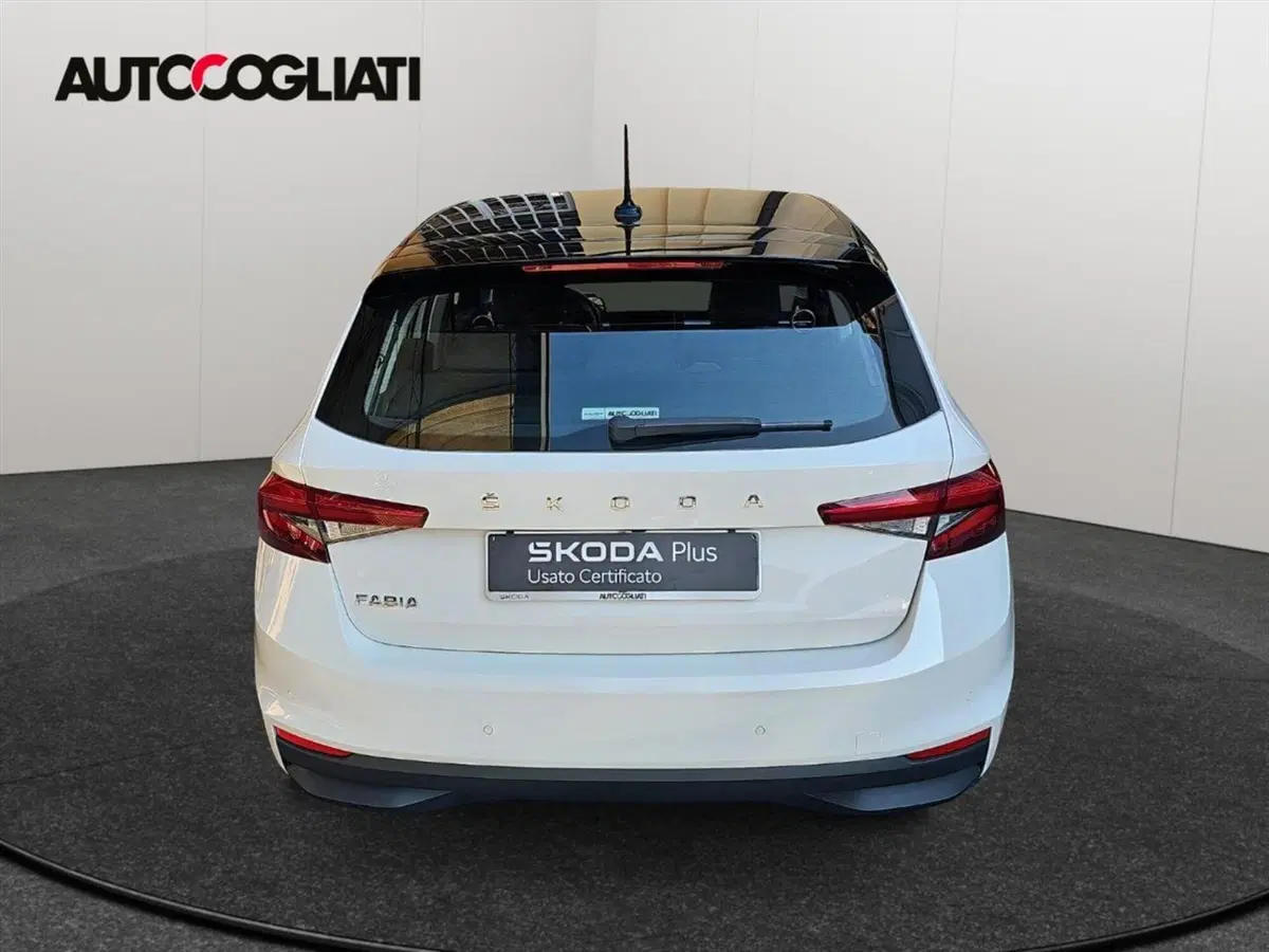 Skoda Fabia usata a Lecco (7)