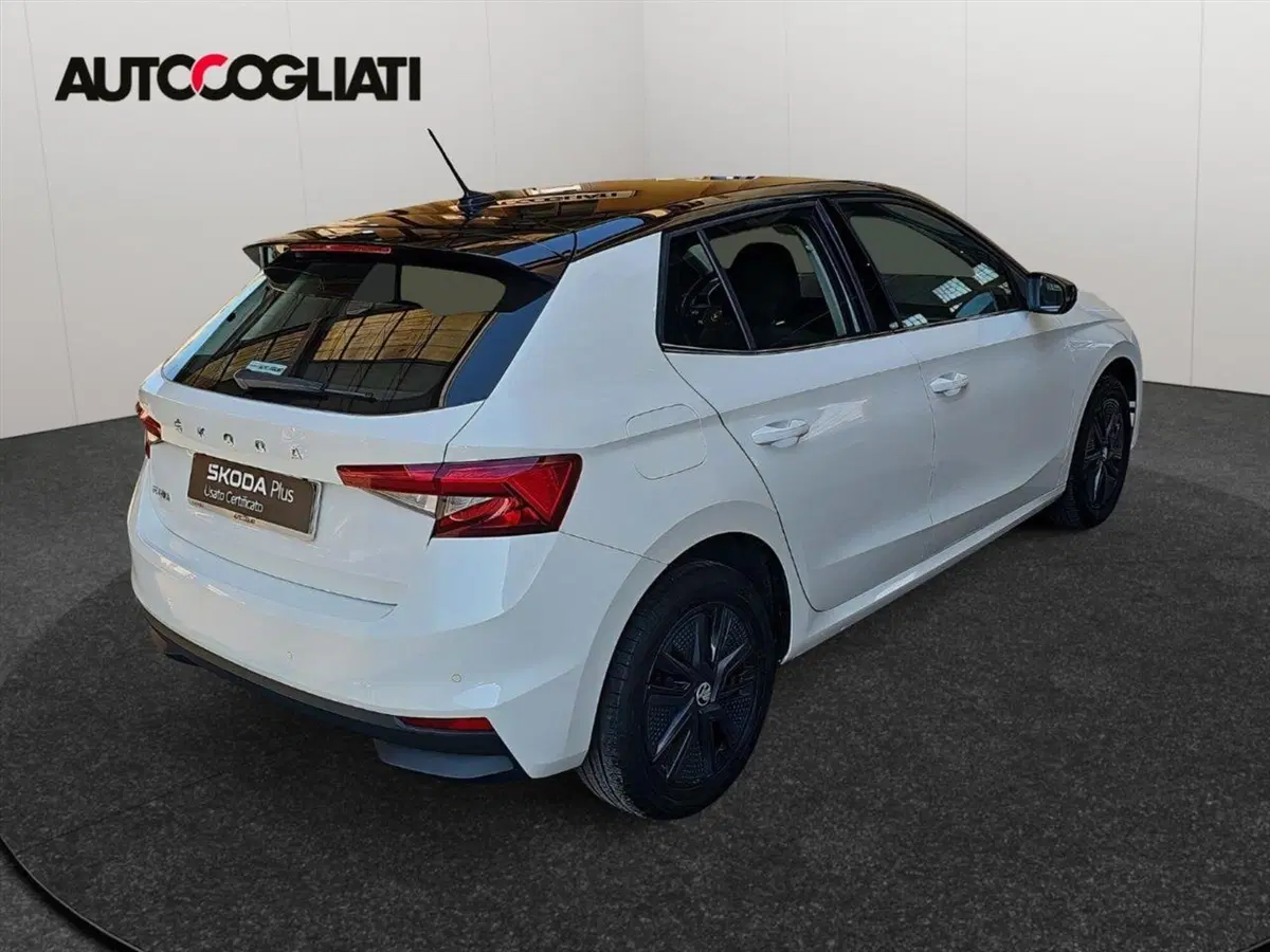 Skoda Fabia usata a Lecco (8)