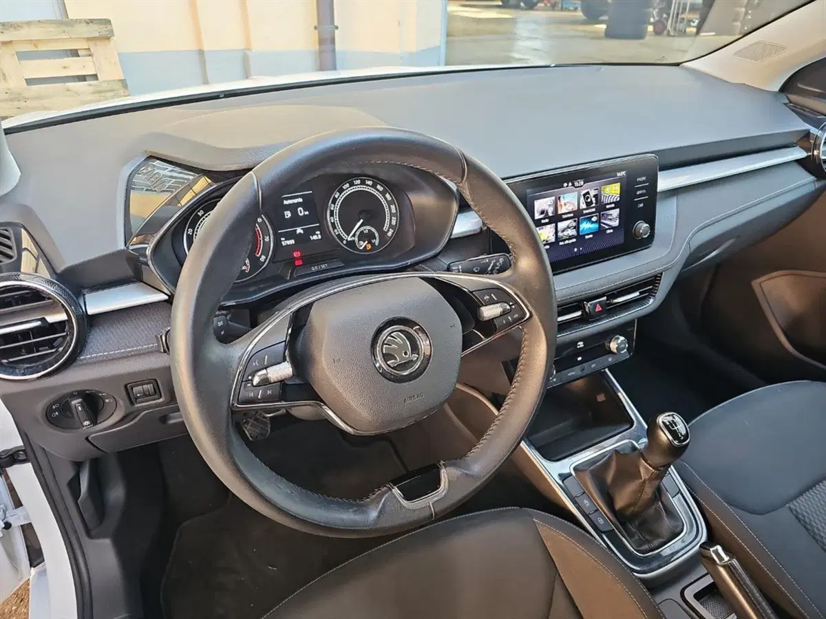 Skoda Fabia usata a Lecco (9)
