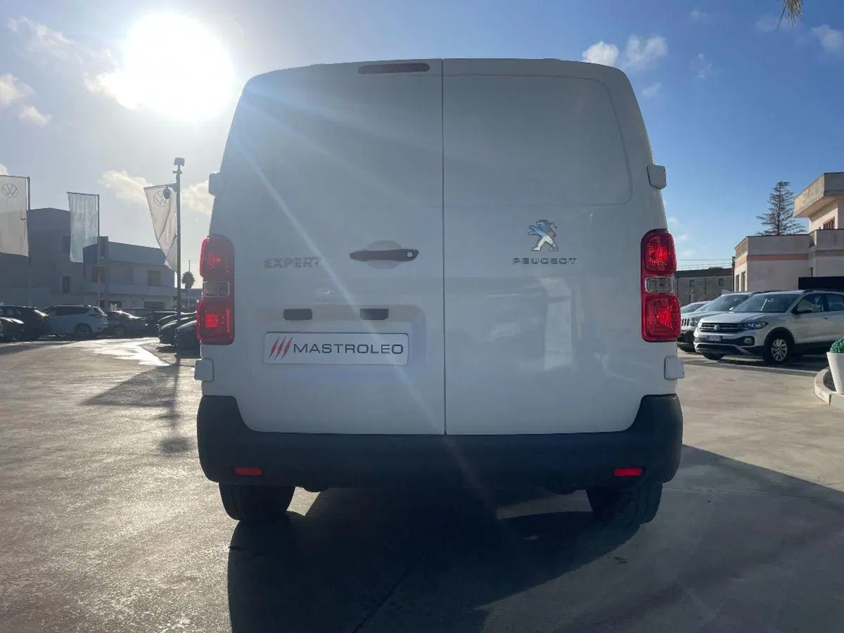 Peugeot Expert Furgone usata a Lecce (11)