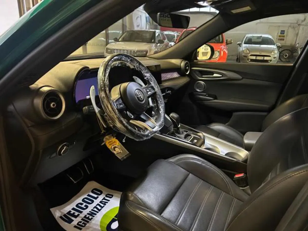Alfa Romeo Tonale usata a Vercelli (15)