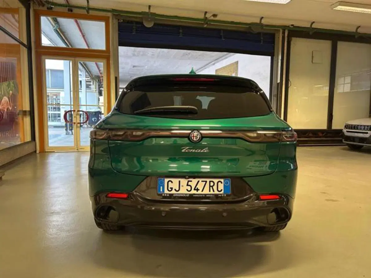 Alfa Romeo Tonale usata a Vercelli (7)