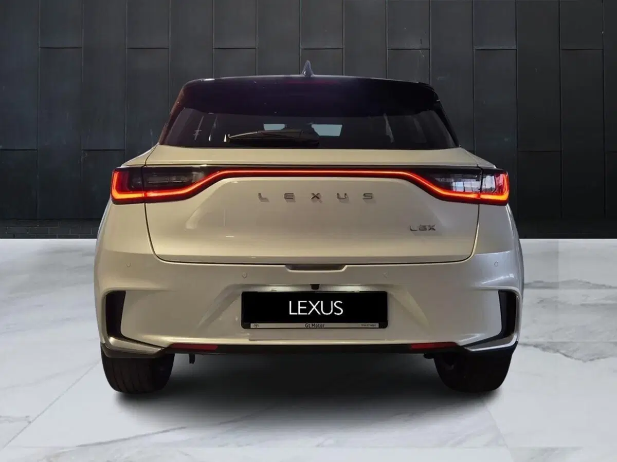 Lexus LBX usata a Genova (11)