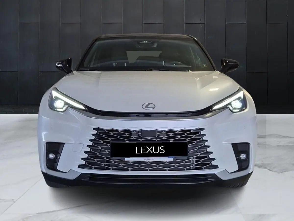 Lexus LBX usata a Genova (12)