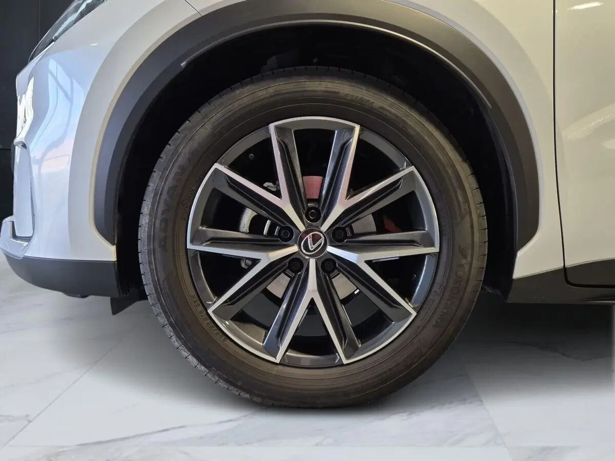 Lexus LBX usata a Genova (13)