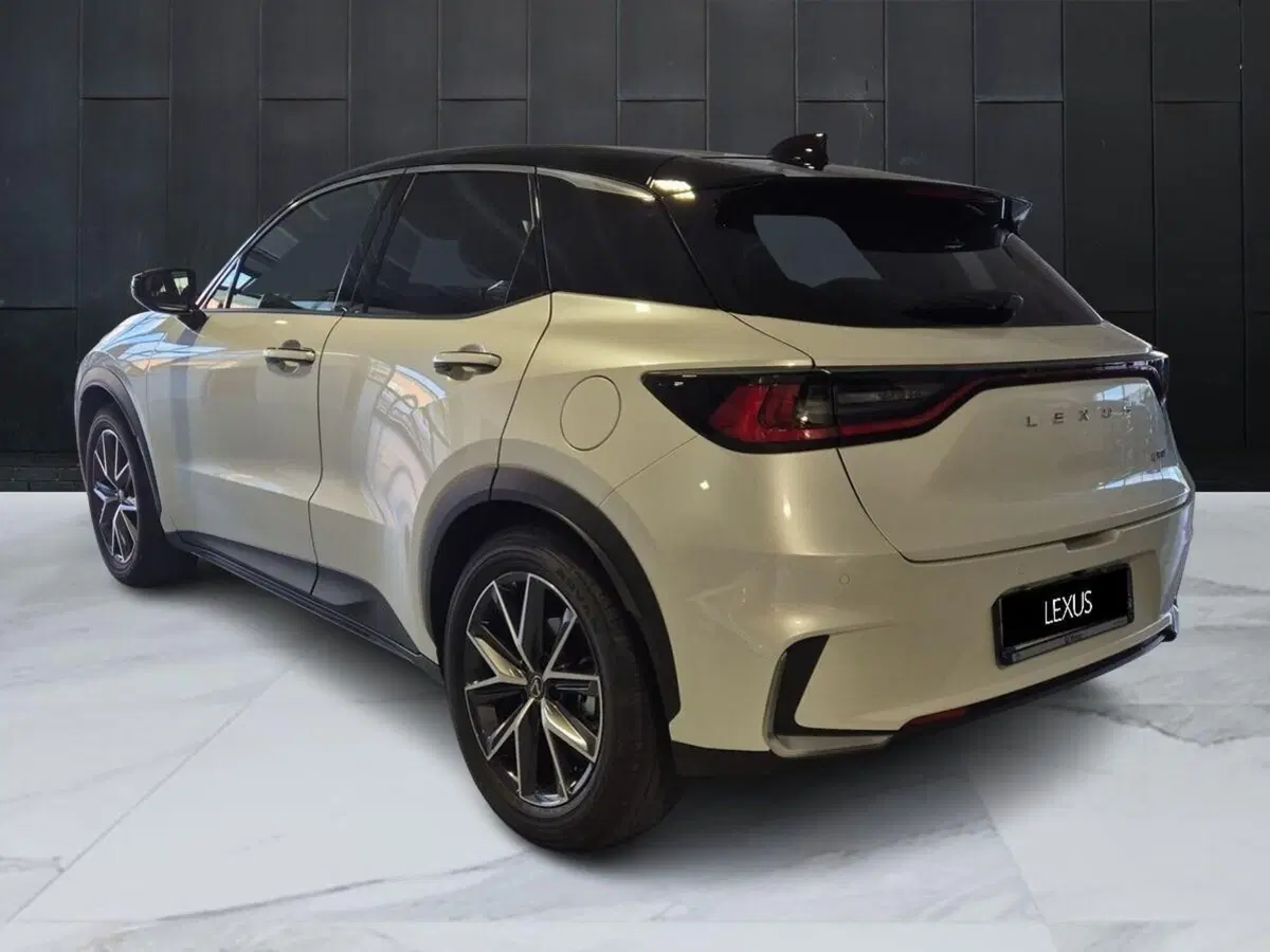 Lexus LBX usata a Genova (4)