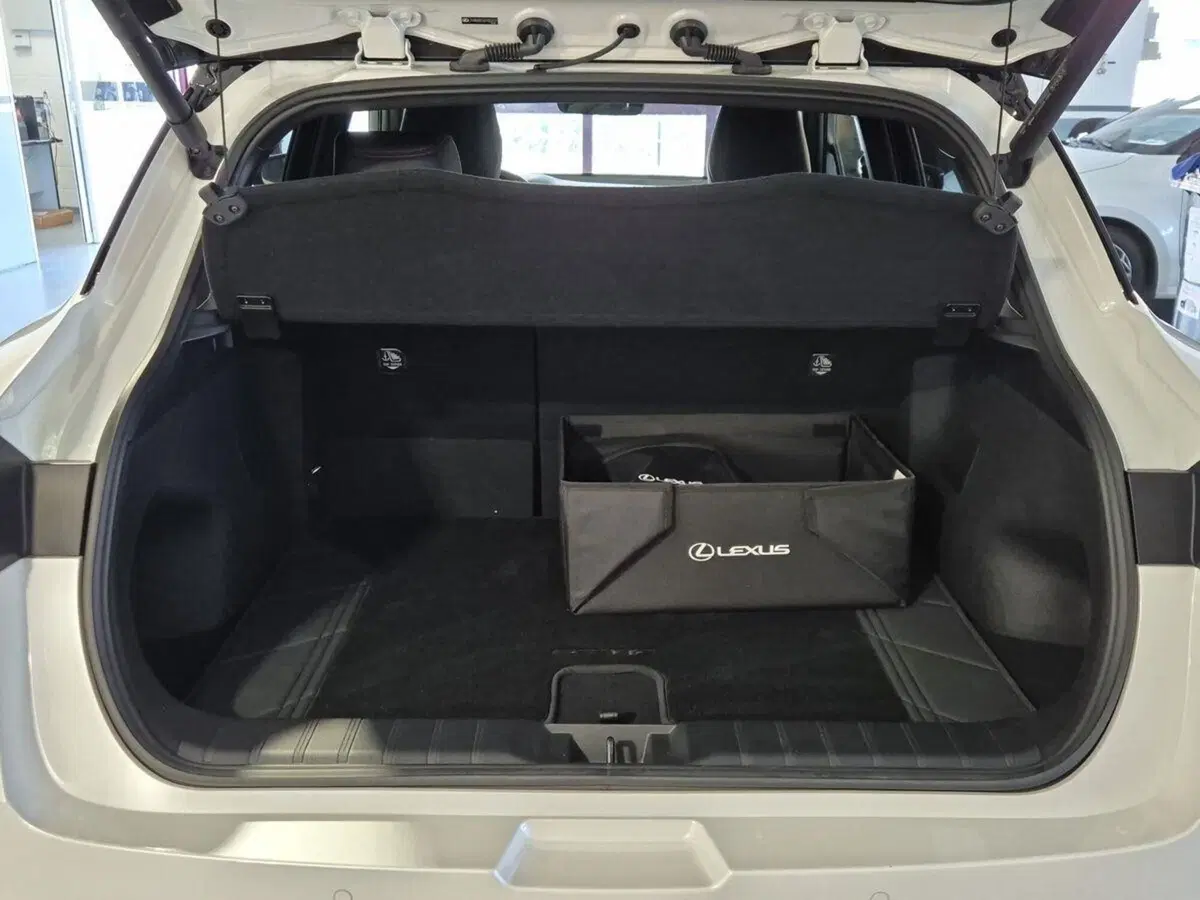 Lexus LBX usata a Genova (5)