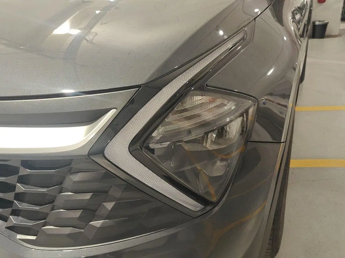 Kia Sportage usata a Genova (13)