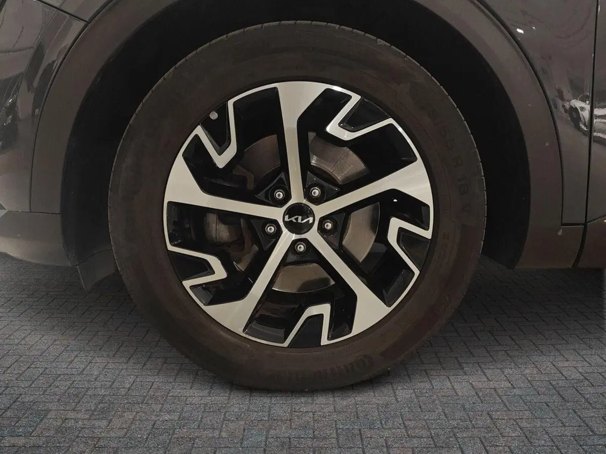 Kia Sportage usata a Genova (14)