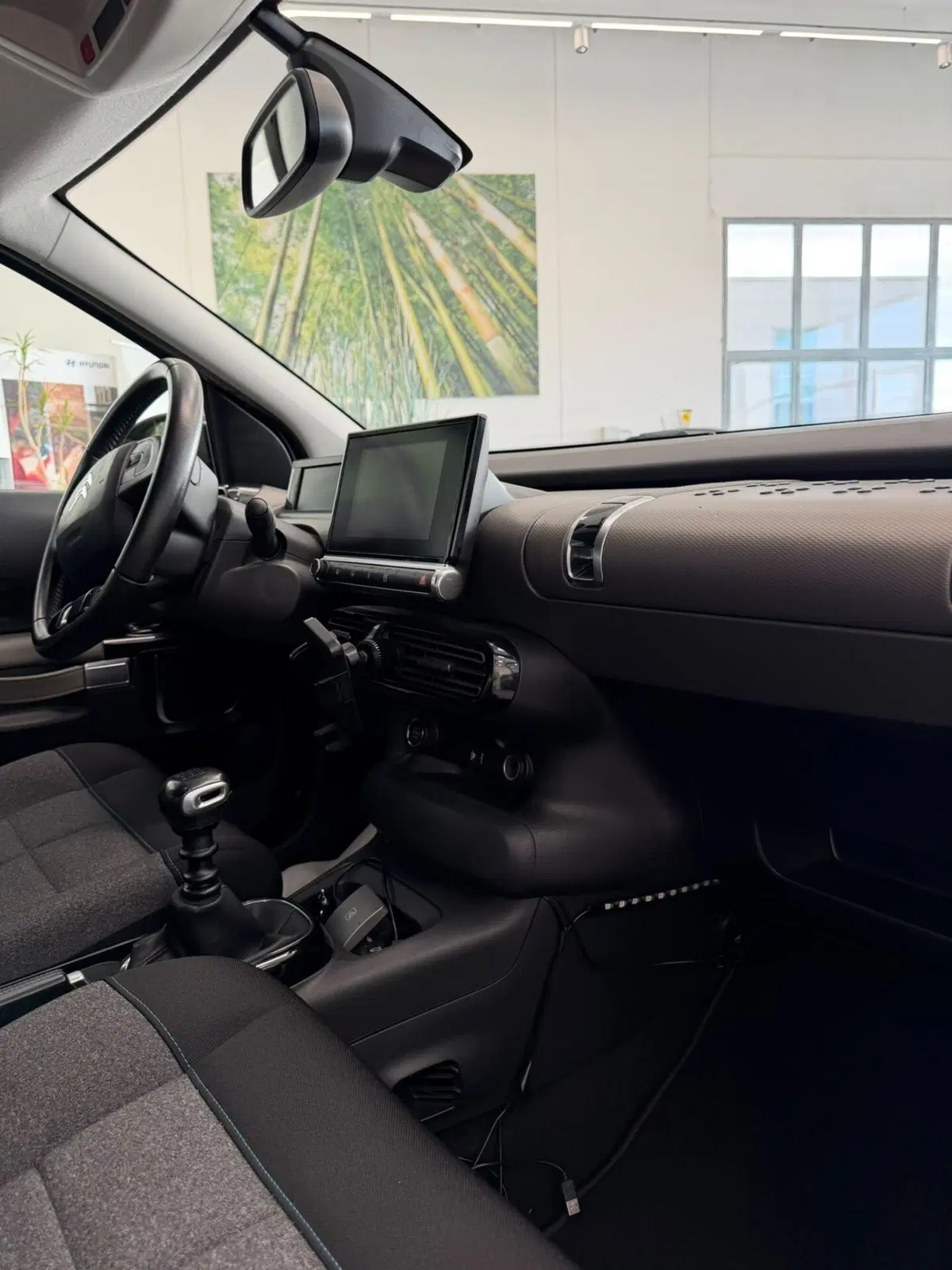 Citroen C4 Cactus usata a Sassari (13)