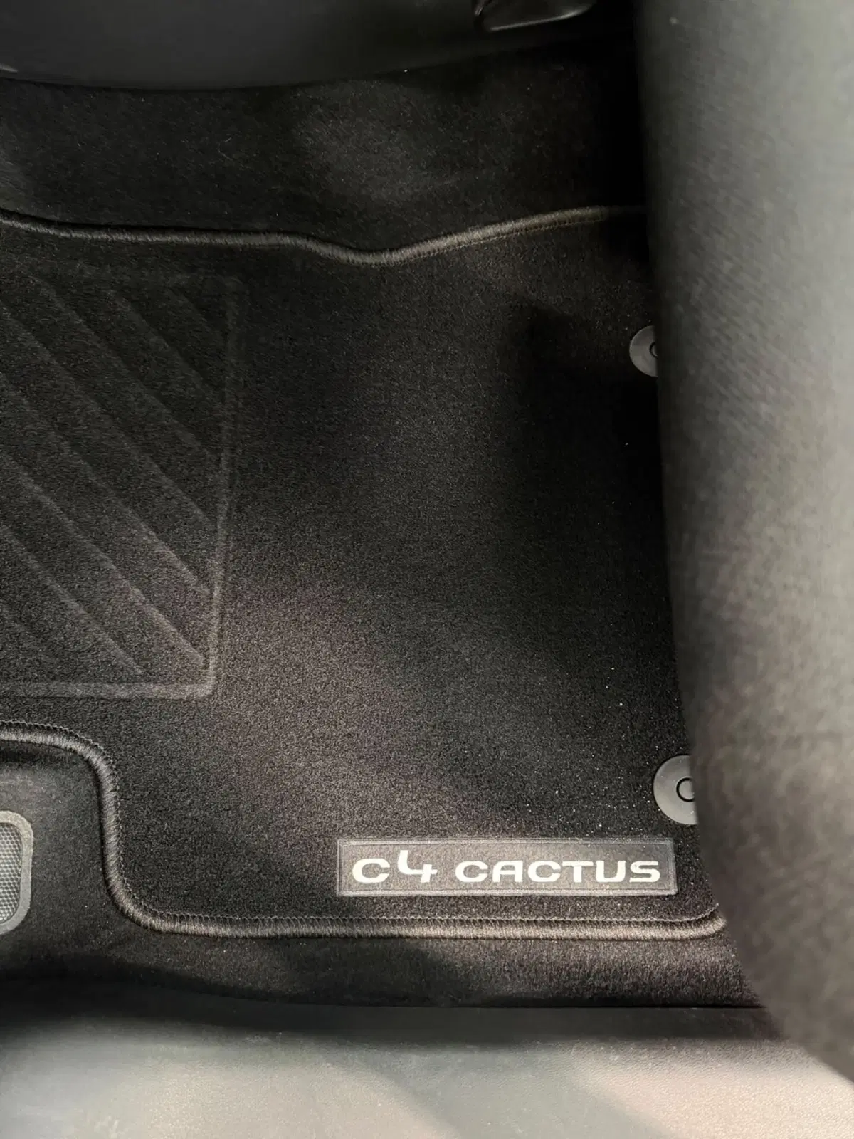 Citroen C4 Cactus usata a Sassari (18)