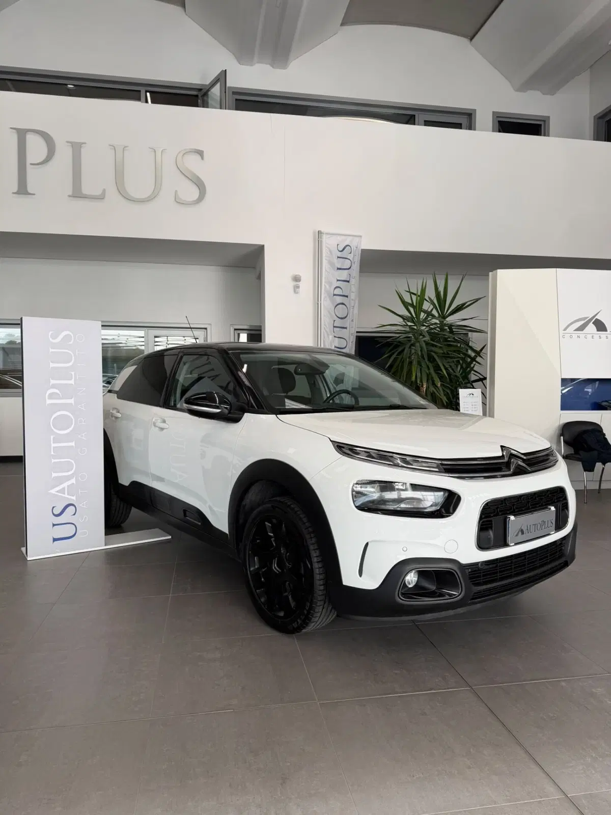 Citroen C4 Cactus usata a Sassari (2)