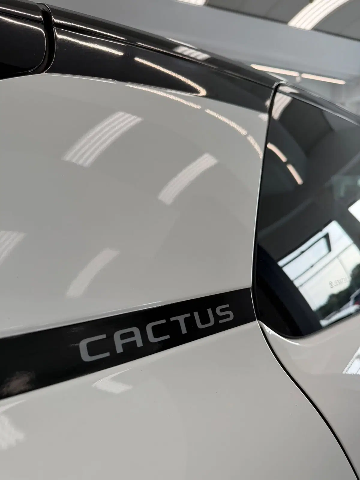Citroen C4 Cactus usata a Sassari (5)