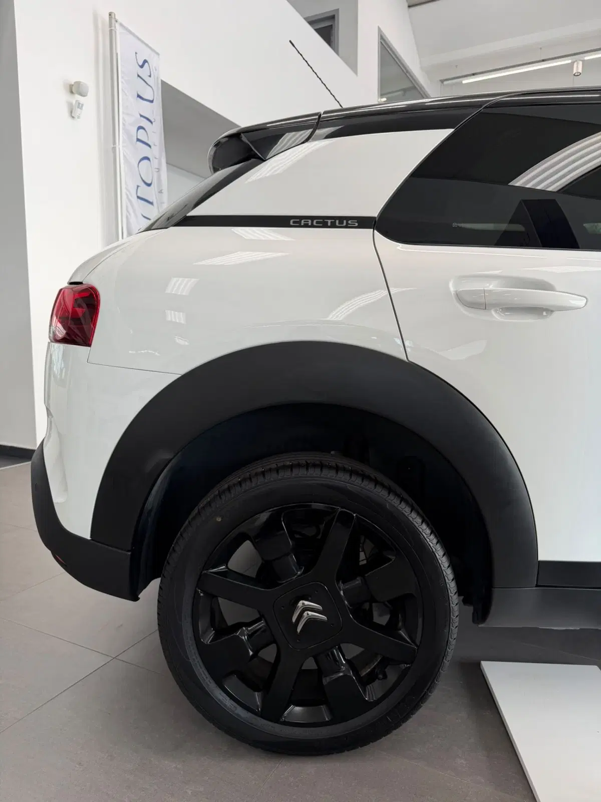 Citroen C4 Cactus usata a Sassari (6)