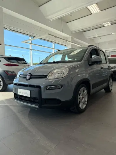 Fiat Panda 1.0 FireFly S&S Hybrid del 2023 usata a Olbia