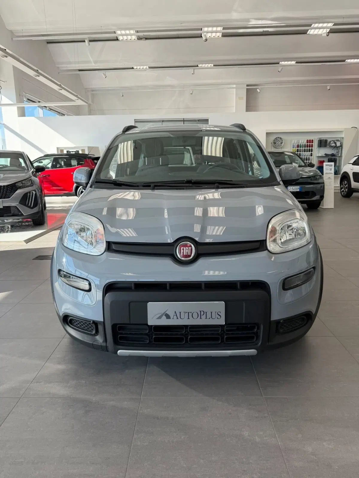 Fiat Panda usata a Sassari (2)