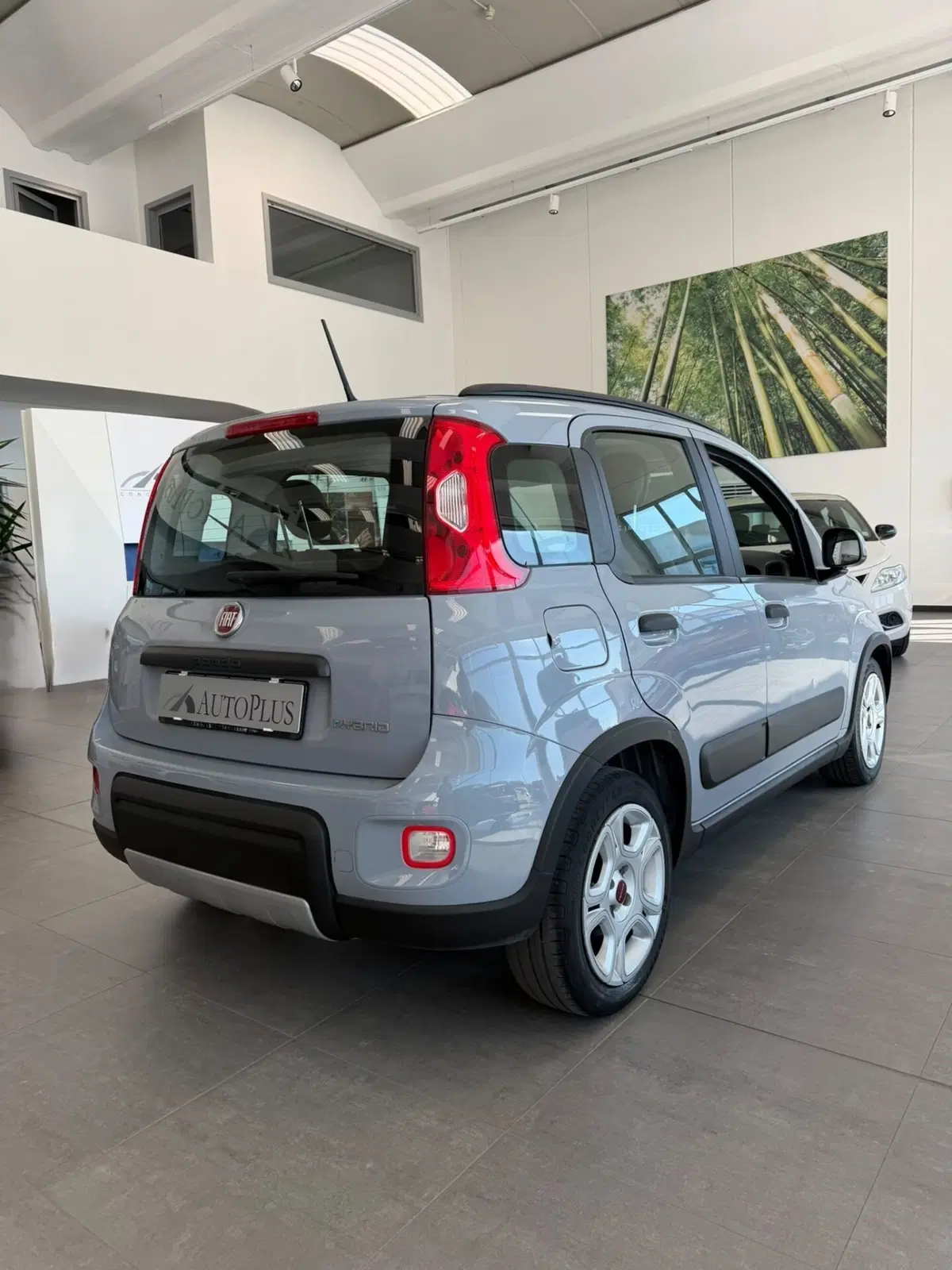 Fiat Panda usata a Sassari (5)