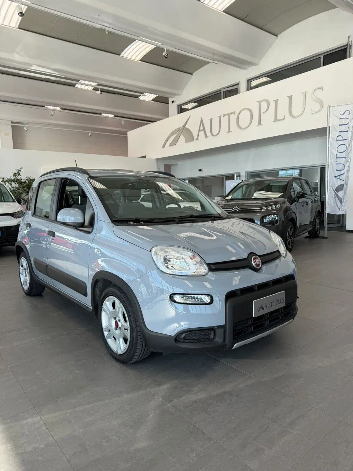 Fiat Panda usata a Sassari (7)