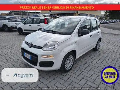Fiat Panda 1.2 Easy del 2017 usata a Montelupo Fiorentino