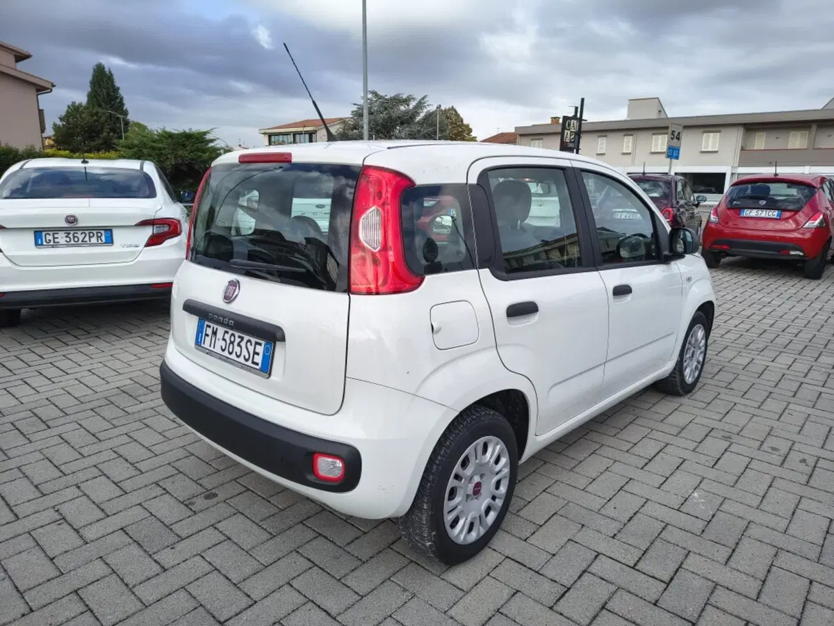 Fiat Panda usata a Firenze (4)