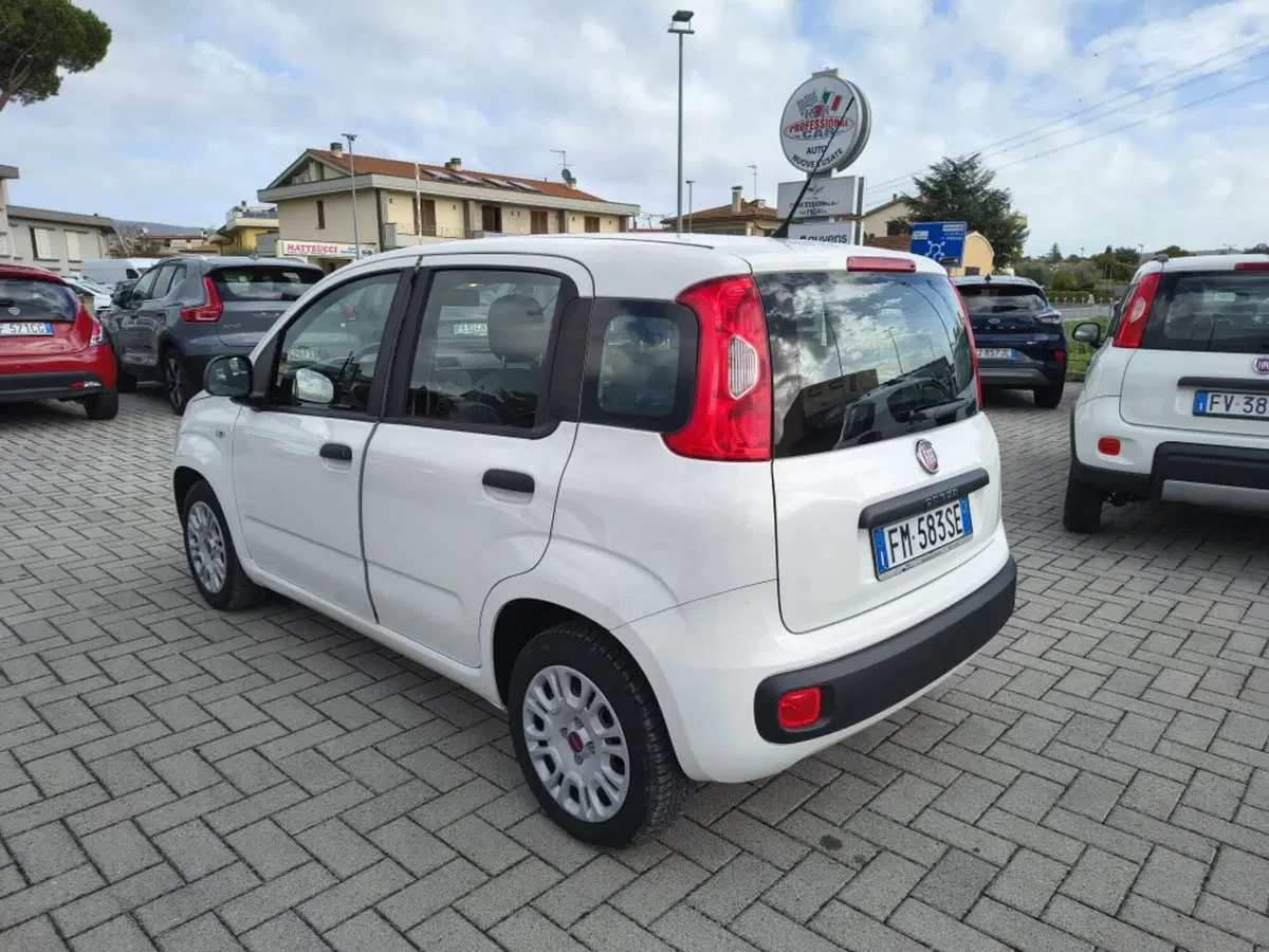 Fiat Panda usata a Firenze (6)
