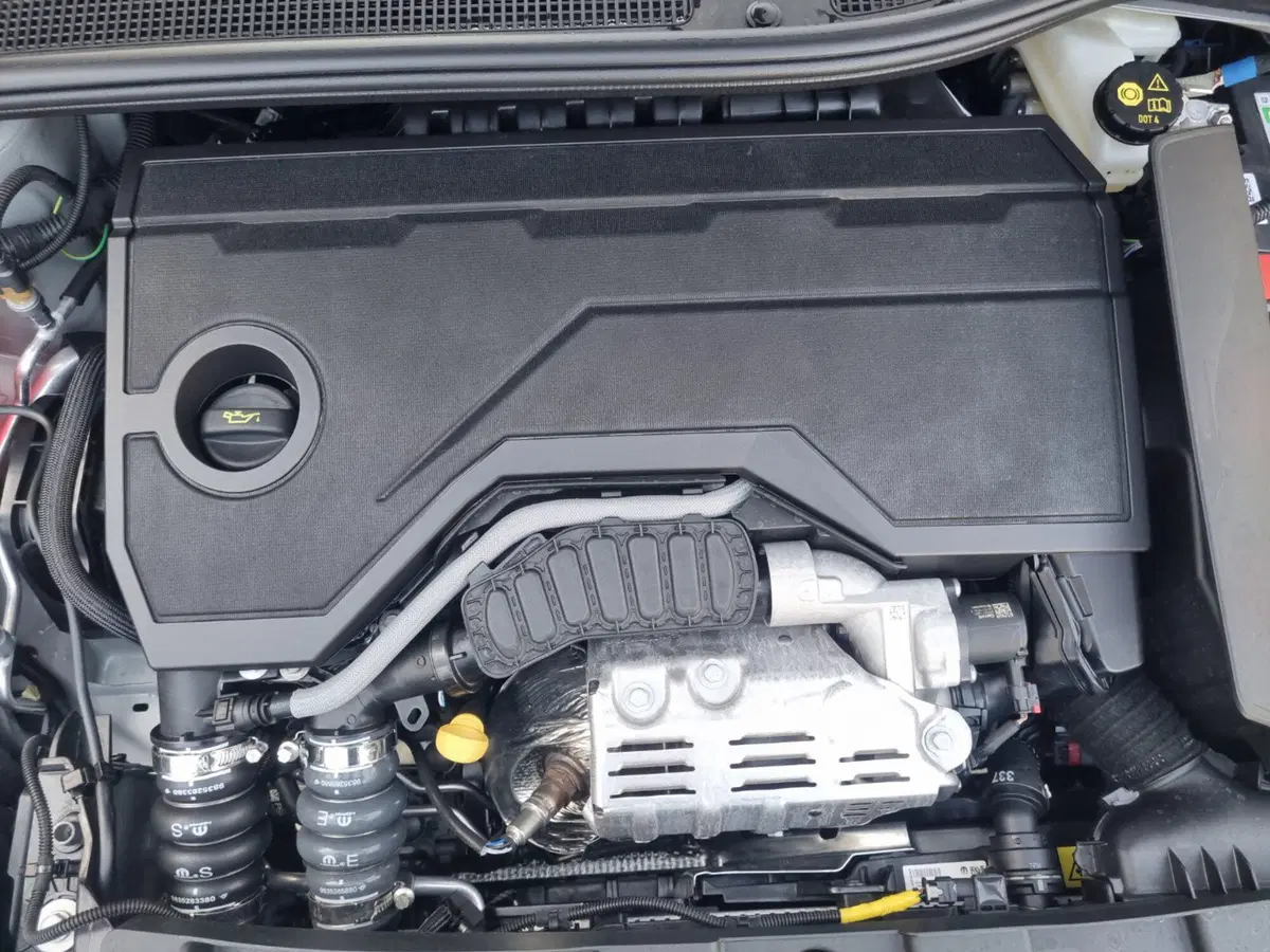 Jeep Avenger nuova a Brindisi (13)