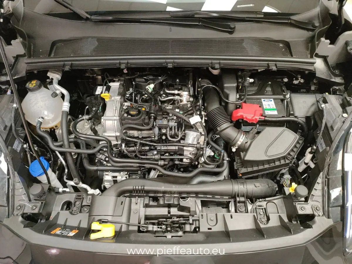Ford Puma usata a Teramo (10)