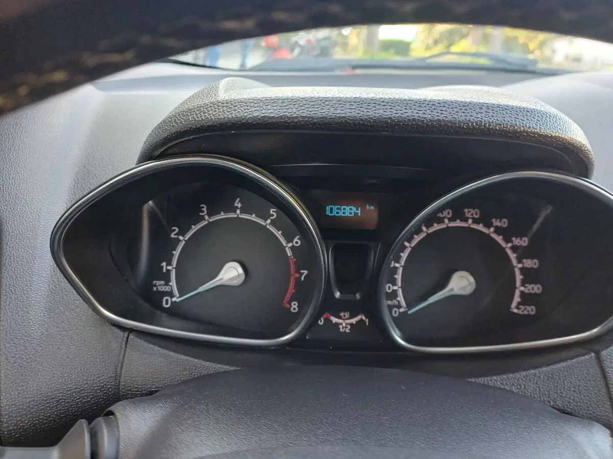 Ford EcoSport usata a Alessandria (11)