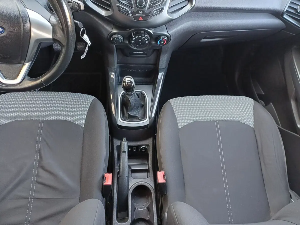 Ford EcoSport usata a Alessandria (12)