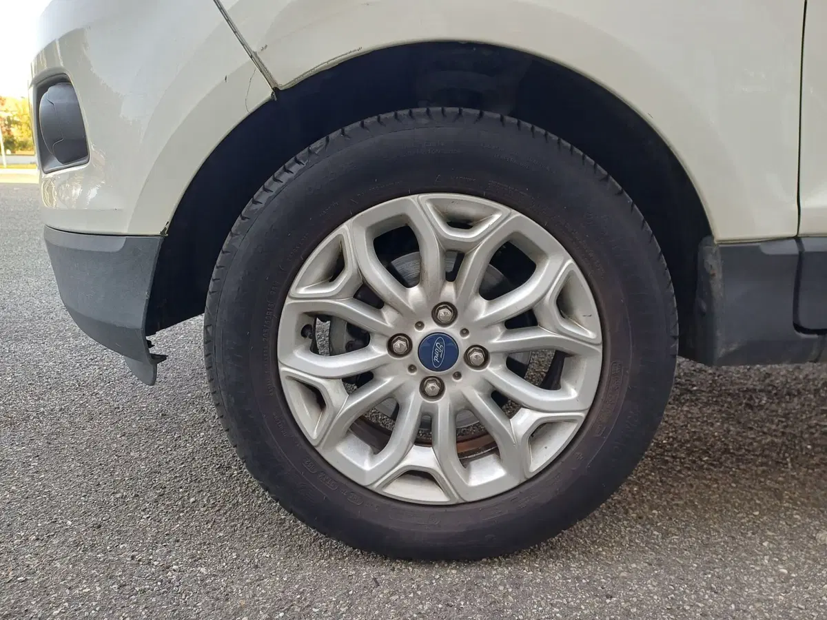 Ford EcoSport usata a Alessandria (13)